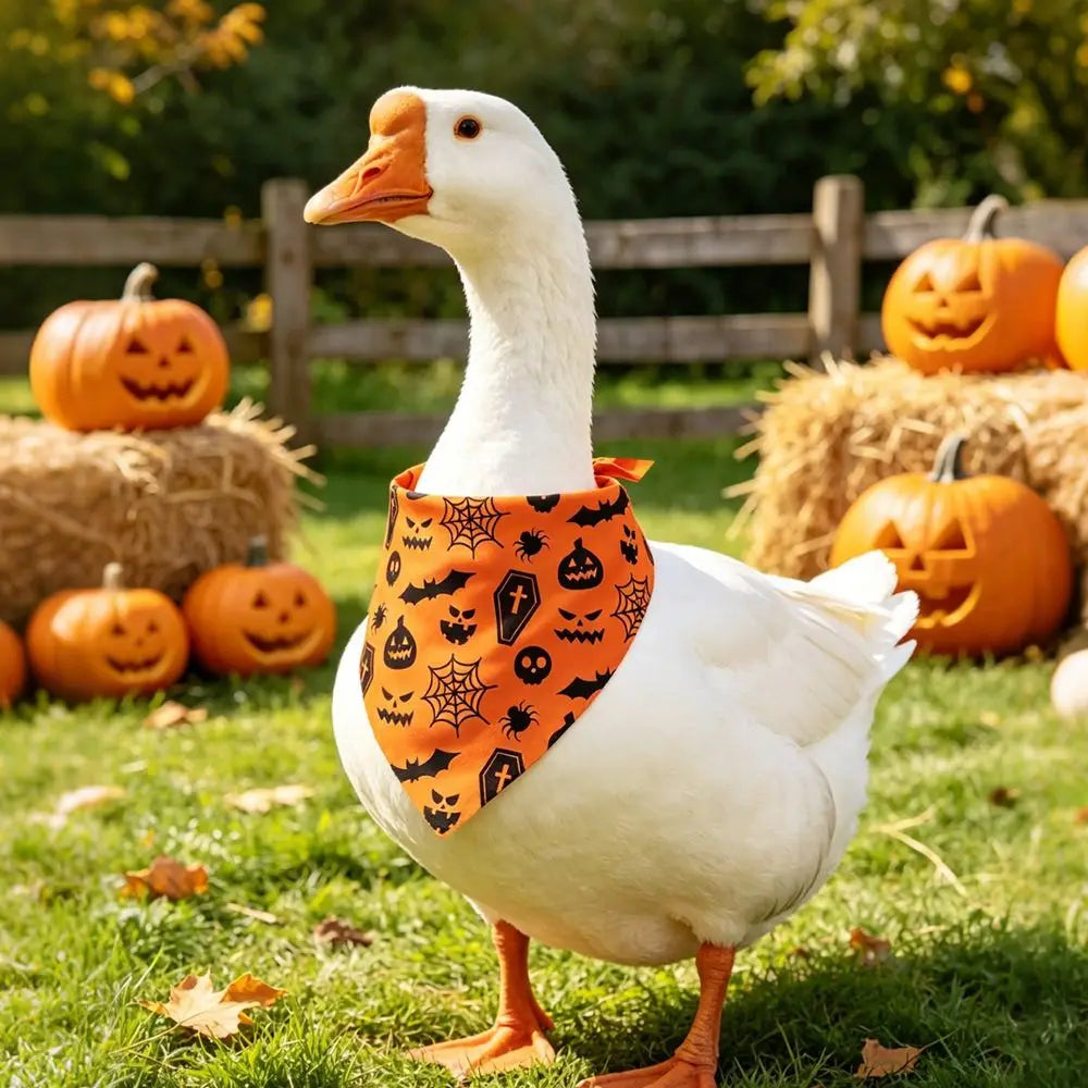 Halloween Pet Bandana, Ghost & Pumpkin Print