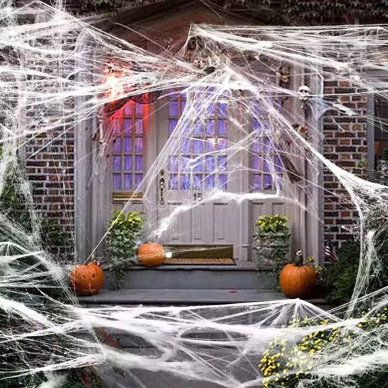 Stretchy Halloween Spider Web Cobweb Decoration
